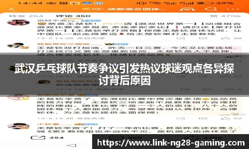 武汉乒乓球队节奏争议引发热议球迷观点各异探讨背后原因